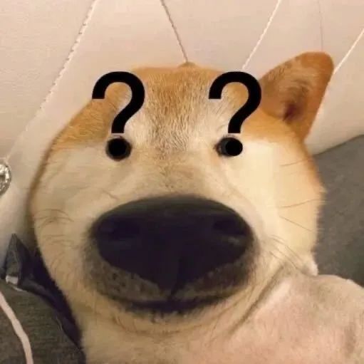 DƬ
